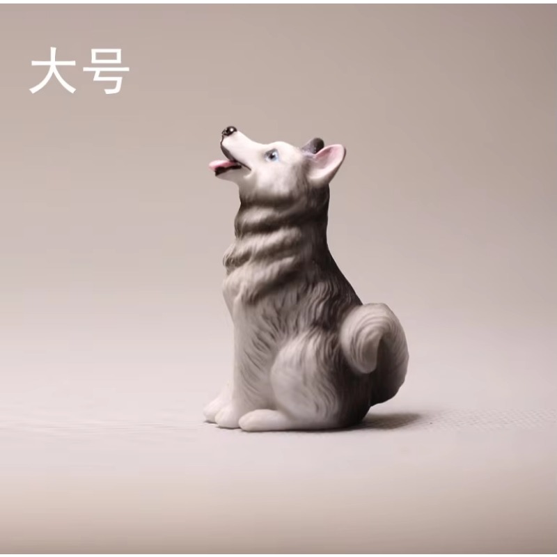 Cartoon Anime Small Animals Do - مراجعة First Bonsai Garden وسعره