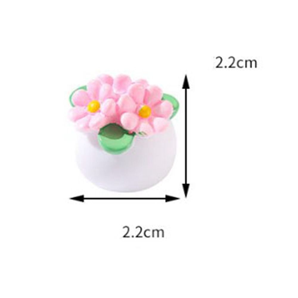 New 1:12 Dollhouse Miniature P - مراجعة Bonsai Garden China وسعره