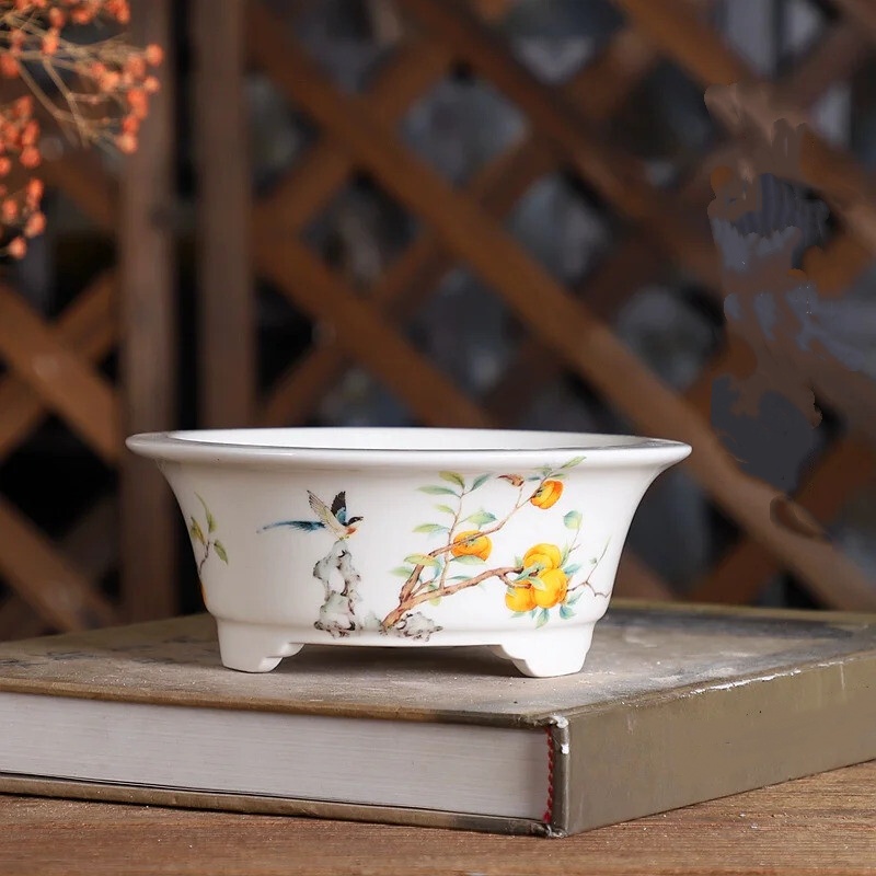 Porcelain Round Circle Bonsai  - مراجعة Bonsai Garden China وسعره