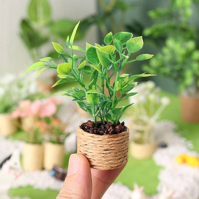 1:12 Dollhouse Mini Orange Tre - مراجعة Bonsai Garden China وسعره