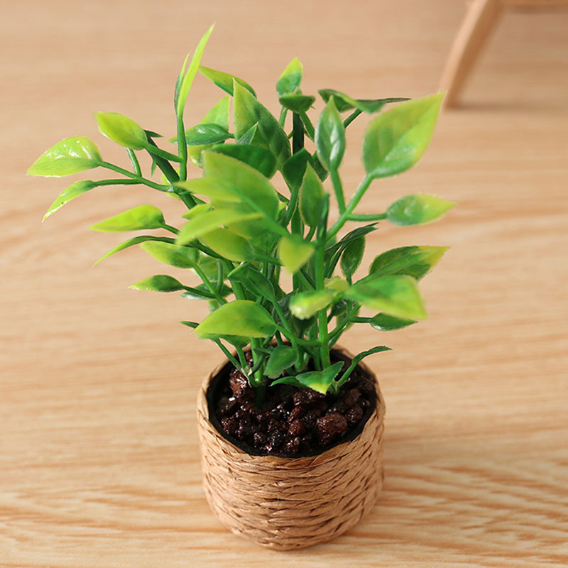 1:12 Dollhouse Mini Orange Tre - مراجعة Bonsai Garden China وسعره
