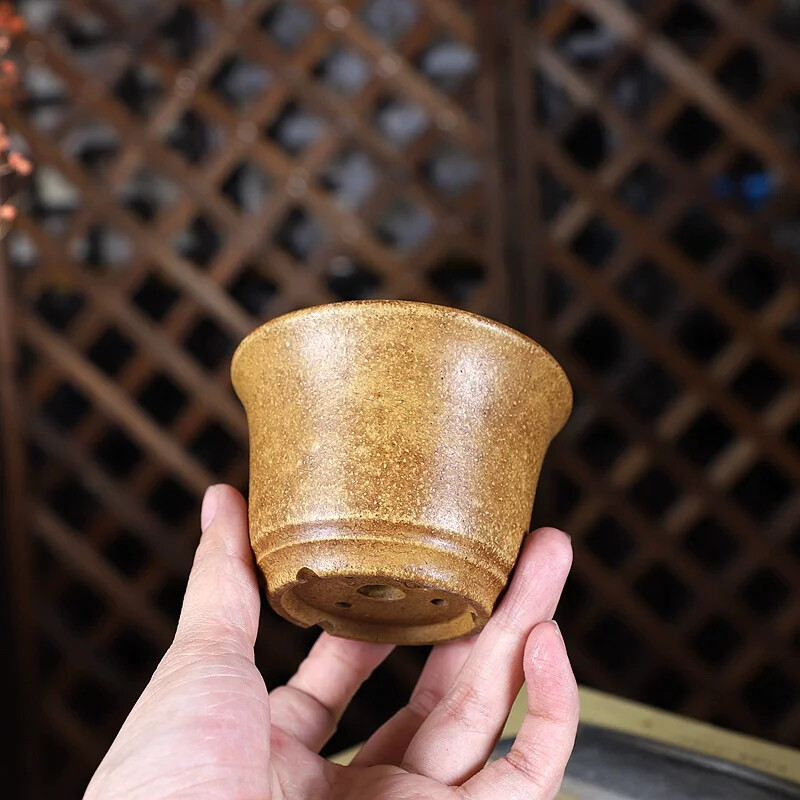 China Handmade Pottery Bonsai  - مراجعة Bonsai Garden China وسعره
