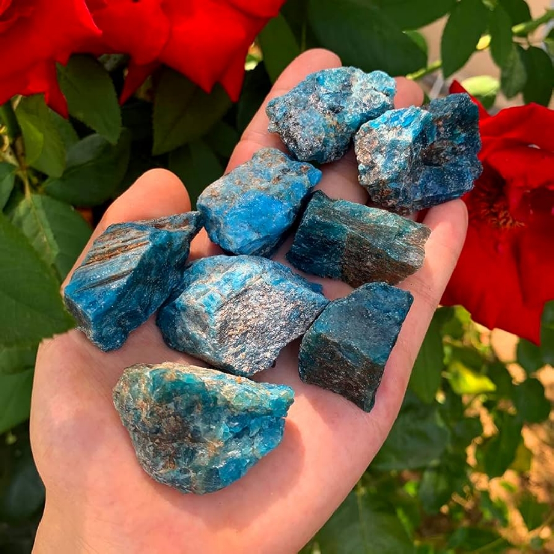 40g/120g/240g Natural Blue Apa - مراجعة Bonsai Garden China وسعره