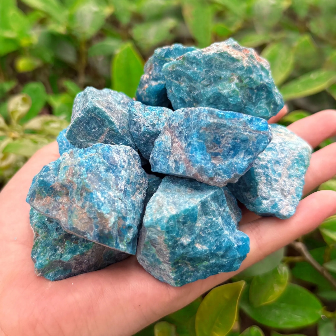 40g/120g/240g Natural Blue Apa - مراجعة Bonsai Garden China وسعره
