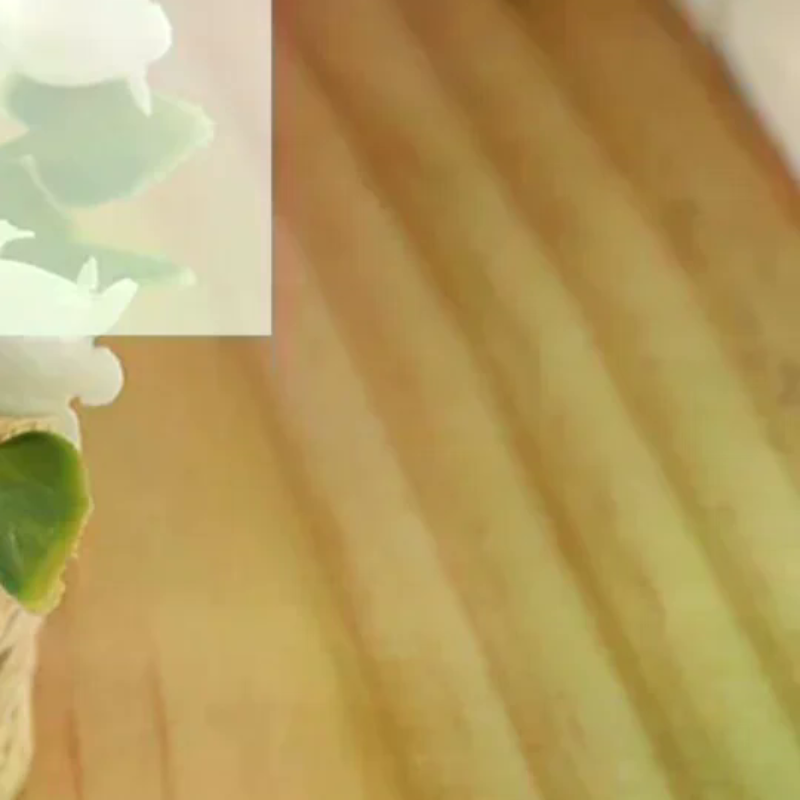 1:12 Dollhouse Miniature Plant - مراجعة Bonsai Garden China وسعره