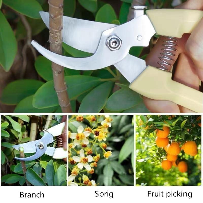 Fruit Bonsai Picking Scissors  - مراجعة Bonsai Garden Hours وسعره