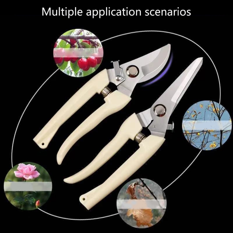 Fruit Bonsai Picking Scissors  - مراجعة Bonsai Garden Hours وسعره