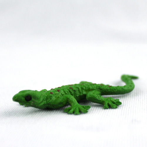 Simulation Lizard Reptile Anim - مراجعة First Bonsai Garden وسعره