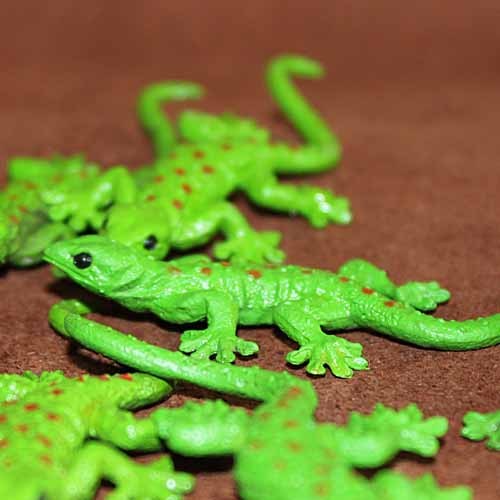 Simulation Lizard Reptile Anim - مراجعة First Bonsai Garden وسعره