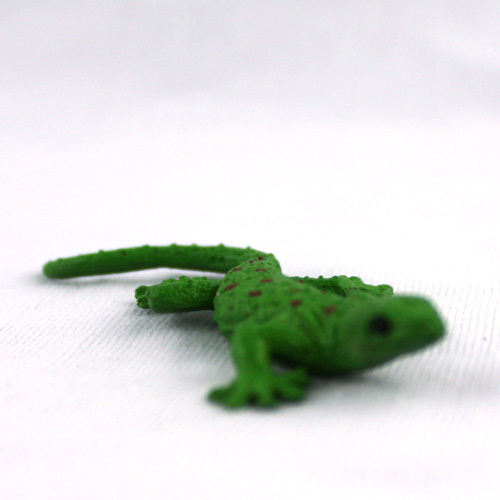 Simulation Lizard Reptile Anim - مراجعة First Bonsai Garden وسعره