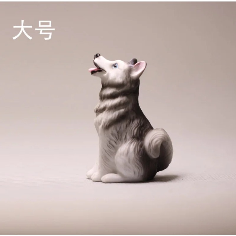 Cute Husky Fairy Garden Miniat - مراجعة First Bonsai Garden وسعره