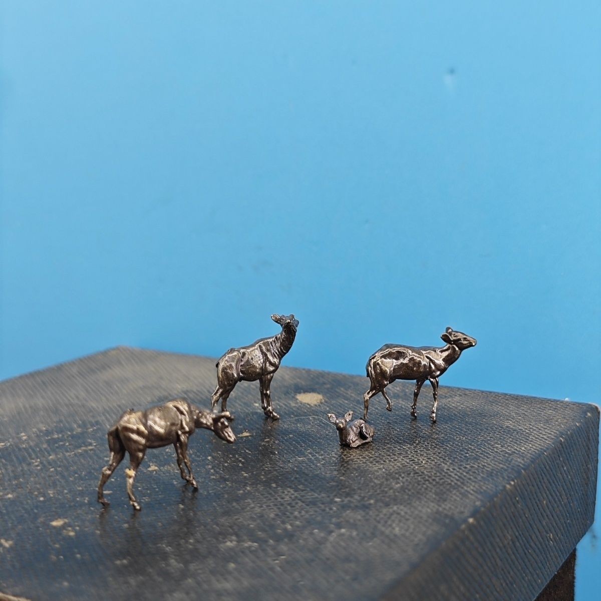 Miniature Deer Figurines Set o - مراجعة Bonsai Garden China وسعره